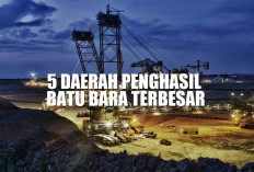 5 Daerah Penghasil Batu Bara Terbesar di Indonesia, Sumatera Selatan Ada di Urutan ke Berapa?