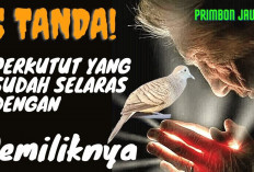 Mengungkap 5 Ciri Perkutut yang Cocok dengan Pemiliknya, Pertanda Ikatan Batin yang Mendalam!