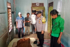 Respons Cepat Call Center 110, Polsek Madang Suku II Evakuasi Warga di OKU Timur
