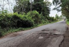 Ruas Jalan Lintas Gumawang-Simpang Rasuan OKU Timur Rusak dan Berlubang, Warga Harapkan Perbaikan 