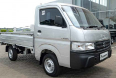 Rajanya Pick Up, Suzuki New Carry Pick Up Tembus Terjual 44.391 Unit di 2023