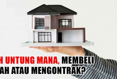 Lebih Untung Mana, Membeli Rumah Atau Mengontrak? 