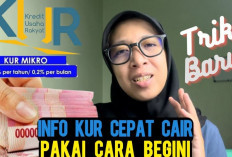 Mau Pinjaman Tanpa Ribet? Simak Cara Mengajukan KUR di 3 Bank BUMN dengan Mudah!