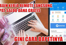 Cobain Kerja Remote Langsung Dapat Saldo DANA Gratis, Gini Cara Dapetinya