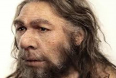  Benarkah Bukti DNA Baru Menunjukkan Bahwa Neanderthal Tidak Punah?