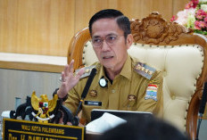 ALHAMDULILLAH! Ratu Dewa Usulkan 2.000 Formasi R3 dan R4 Jadi PPPK Paruh Waktu