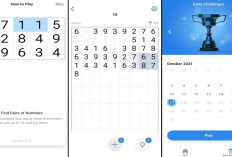 Game Asah Otak yang Menyenangkan, Download Number Match Sekarang!