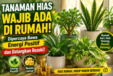 Auto Bikin Rumah Makin Asri! 5 Tanaman Hias yang Dipercaya Bawa Aura Positif hingga Datangkan Rezeki