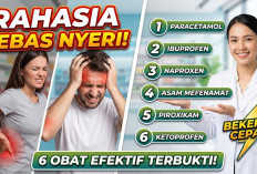 Rahasia Bebas dari Siksaan Nyeri! 6 Obat Efektif yang Terbukti Bekerja Cepat Redakan Sakit Tanpa Lama