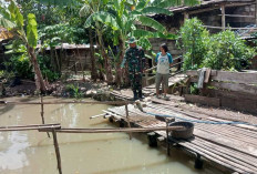 Capai 55 Persen, Satgas TMMD Ke-122 Kodim Lahat Terus Benahi Kualitas Kolam, Ini Penampakannya