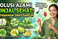 Solusi Alami Ginjal Sehat: 6 Pilihan Tanaman Obat yang Ampuh Memperbaiki Fungsi Ginjal dan Melancarkan Urin