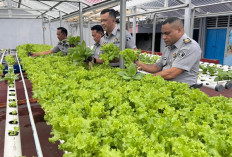 Dukung Ketahanan Pangan, Ini Upaya Dilakukan Kepala Rutan Kelas I Palembang