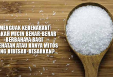 Menguak Kebenaran! Apakah Micin Benar-Benar Berbahaya bagi Kesehatan atau Hanya Mitos yang Dibesar-besarkan?
