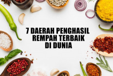 Tidak Banyak Tahu, Ternyata 7 Daerah Ini Penghasil Rempah Terbaik di Dunia, Ada yang Dekat Sumsel!