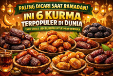 Paling Dicari Saat Ramadan, Ini 6 Kurma Terpopuler di Dunia yang Selalu Jadi Buruan untuk Menu Berbuka