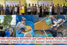 HASIL BERLIMPAH! Budidaya Lele Sistem Bioflok-Azolla Ala Tim BDA Unsri dan Sekolah Tahfiz Khoiru Ummah