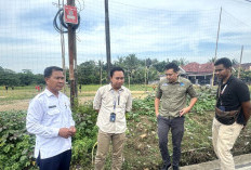 Dukung Transformasi Digital, Diskominfo Prabumulih Percepat Peningkatan Layanan Internet