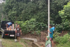 Wow, 15 Unit Lampu Tenaga Surya Terangi Pemukiman Desa Lubuk Mabar Lahat Lho