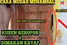 5 Langkah Mudah Mengatasi Serangan Rayap di Kusen Pintu Kayu Rumah