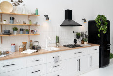 Simpel, Elegan, dan Bikin Iri Tetangga! 5 Inspirasi Desain Dapur Modern Minimalis yang Bikin Betah Masak