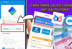 Cara Instan Dapat Cuan! Sekali Login Hasilkan Saldo DANA Gartis Rp140.000, Buruan Serbu Aplikasinya!