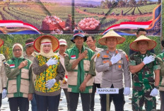 Dukung Percepatan Ketahanan Pangan Nasional, Anggota DPRD Lahat: Manfaatkan Lahan dan Hasil Panen Melimpah