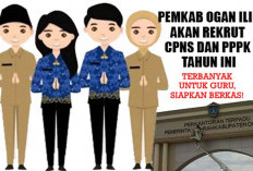 Pemkab Ogan Ilir Akan Rekrut CPNS dan PPPK Tahun Ini, Terbanyak untuk Guru, Siapkan Berkas!