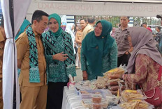 3 Hari di Gelar, Ribuan Warga Serbu Banjarsari UMKM Expo 2024, Ini Penampakannya 