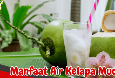 Penderita Diabetes Boleh Mengonsumsi Air Kelapa Muda, Simak Penjelasan Ahli