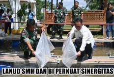 Bank Indonesia Lepaskan 5000 Ekor Bibit Gurami di Kolam Lanud SMH, ini 8 Manfaat Ikan Gurami bagi Kesehatan