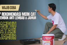 7 Merk Cat Tembok Anti Lembab dan Jamur Terbaik 2026: Dinding Awet dan Tetap Cantik!