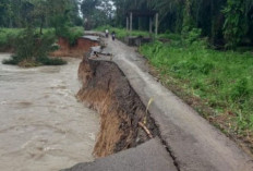 Akses Jalan 2 Kecamatan Kikim Lahat Longsor Sepanjang 50 Meter, Dewan Desak Pemerintah Perbaiki