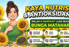 Kaya Nutrisi dan Antioksidan! Inilah 6 Manfaat Luar Biasa Bunga Matahari untuk Atasi Berbagai Macam Penyakit