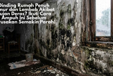 Dinding Rumah Penuh Jamur dan Lembab Akibat Hujan Deras? Ikuti Cara Ampuh Ini Sebelum Kerusakan Semakin Parah!