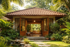 Rumah Terasa Gerah? Coba 6 Tips Ini Biar Sejuk Alami Tanpa AC! 