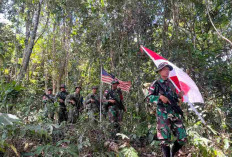 TNI dan TDM Patroli Bersama Patok Batas Negara RI-Malaysia