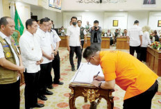 Karhutla Meningkat Tajam, Wali Kota Ratu Dewa Tetapkan Status Siaga Bencana