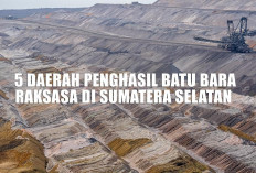 Tambang Emas Hitam! 5 Daerah Penghasil Batu Bara Raksasa di Sumatera Selatan