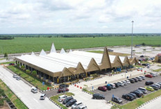 Wajib Tahu! Lokasi Rest Area Tol Trans Sumatera untuk Istirahat Aman Saat Mudik