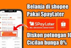 Terbukti Berhasil! Langkah-Langkah Jitu Menaikkan Limit Shopee PayLater Tanpa Ribet dan Anti Gagal