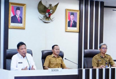 Sensus Ekonomi 2026 di Prabumulih: Strategi Penguatan UMKM dan Pemetaan Potensi Investasi Daerah