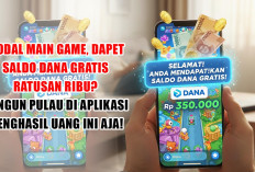 Modal Main Game, Dapet Saldo DANA Gratis Ratusan Ribu? Bangun Pulau di Aplikasi Penghasil Uang Ini Aja!