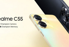 Spesifikasi Realme C55 dan Harga Terbaru 2024, HP Dynaminc Island Ala iPhone 15
