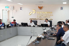 Tingkatkan Keandalan Operasi, RU III Plaju Terima Site Visit Assessment Utilisasi SAP PM dari Holding Pertamin