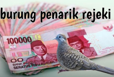 7 Perkutut Pembawa Rezeki Berlimpah Bagi Pemiliknya, Bakal Beruntung dan Kaya Raya