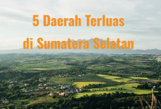 Bukan Palembang Juaranya! Ini 5 Daerah Terluas di Sumatera Selatan, Luasnya Hampir Tandingi Negara Singapura?