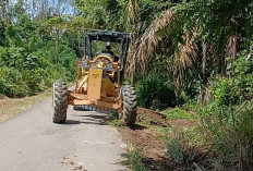 Tanah Kanan Kiri Jalan Lubuk Tampang Lahat Diperlebar, Ini Tujuannya