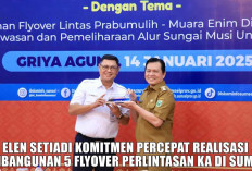 Alasan Mendesak Elen Setiadi Percepat Realisasi Pembangunan 5 Flyover Perlintasan Kereta Api di Sumsel