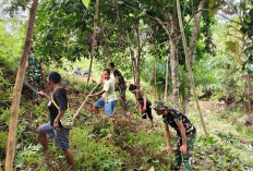 Satgas Yonif 144 Jaya Yudha Gelar Karya Bakti di Kampung Perbatasan Ini