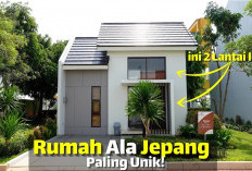 Modern Minimalis! Desain Rumah Ala Jepang Dari Luar 1 Lantai Ternyata Dalemnya 2 Lantai Bikin Betah